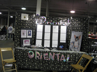 The CFA Intertional Cat Show